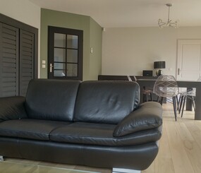 Séjour salle à manger salon. Murs  Ponçages pour éliminer les enduits et peintures non adhérents, pour recréer une accroche, pour rendre le support plan. Rebouchages. 1 couche d'impression. 2 couches de laque mate veloutée